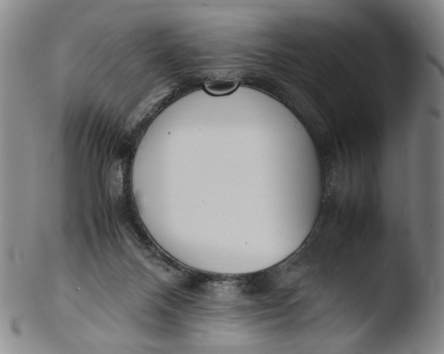 X0000103430120200809261740