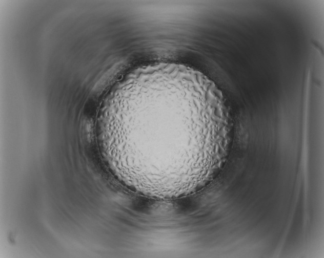 X0000103430123200809261740