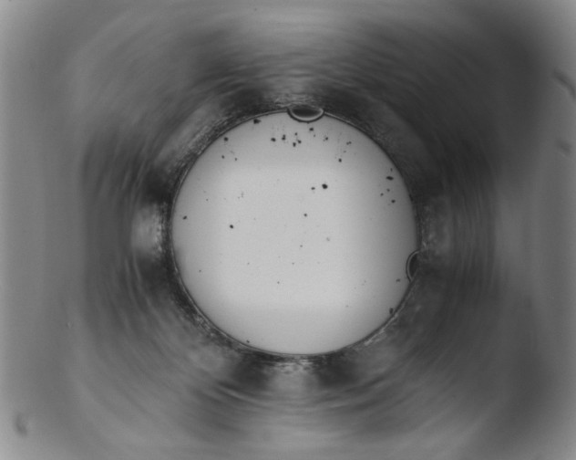 X0000103430124200809261740