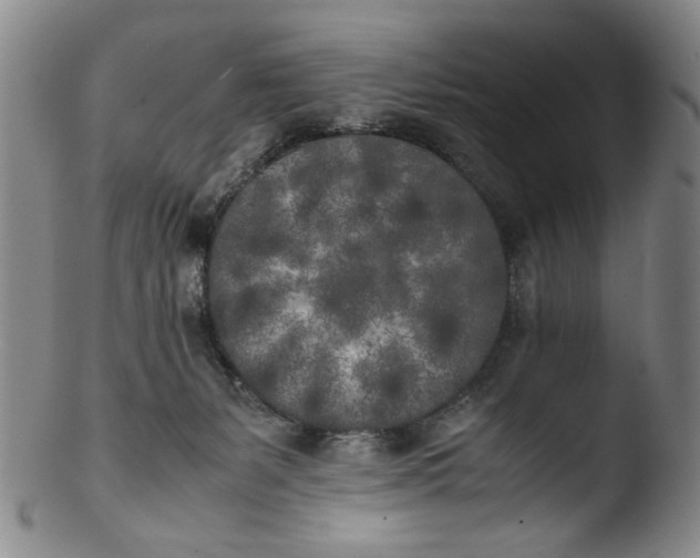 X0000103430127200809261740