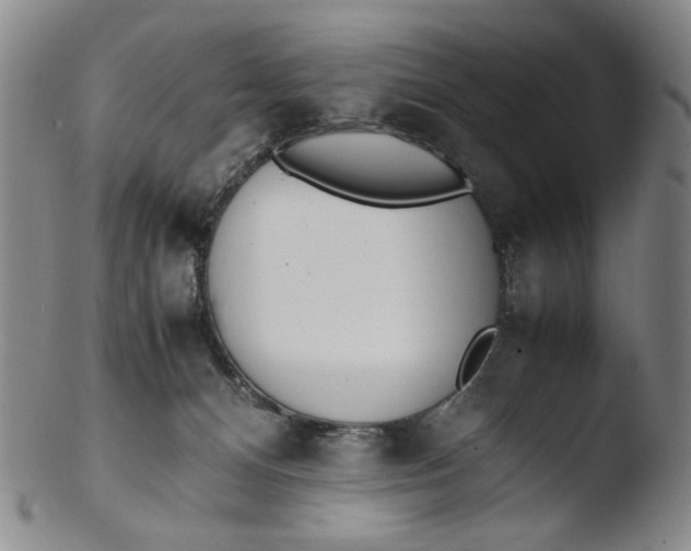 X0000103430128200809261740