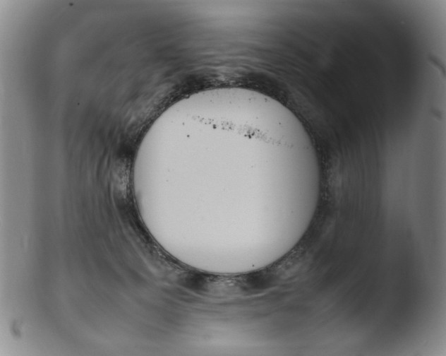 X0000103430129200809261740