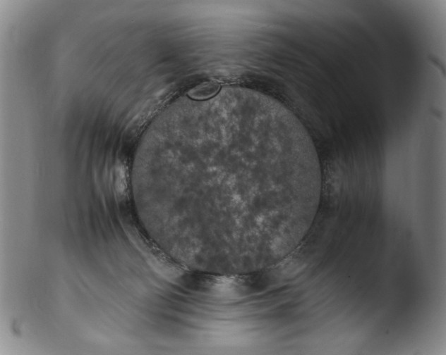 X0000103430130200809261740