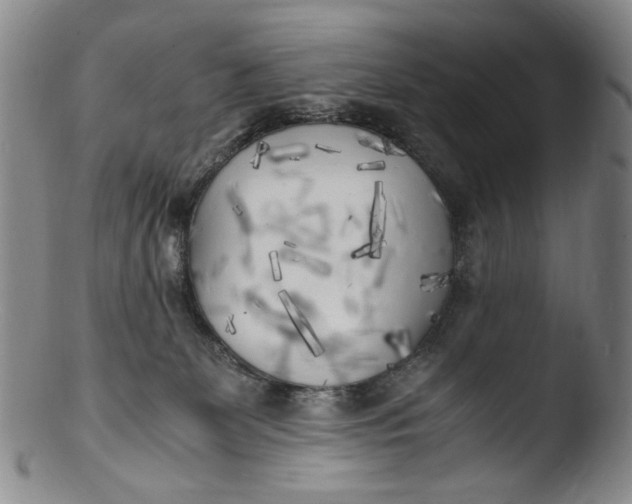 X0000103430131200809261740