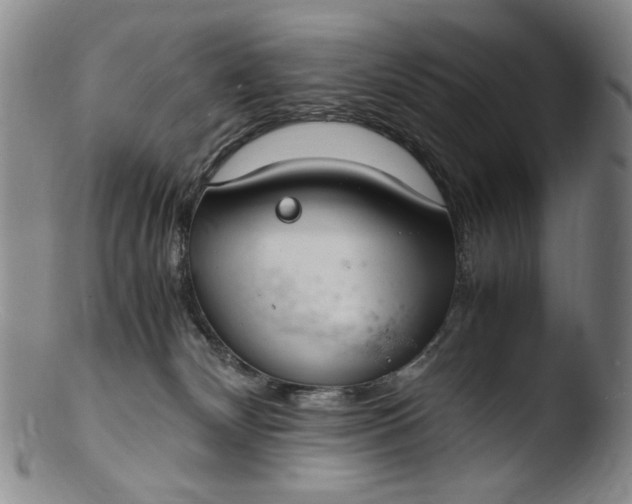 X0000103430132200809261740