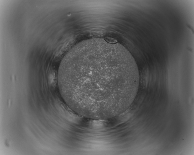 X0000103430134200809261740