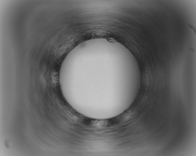 X0000103430135200809261740