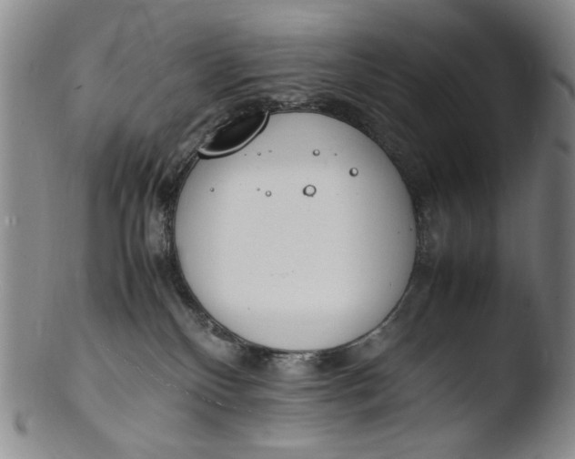 X0000103430136200809261740