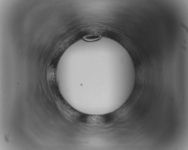 X0000103430137200809261740