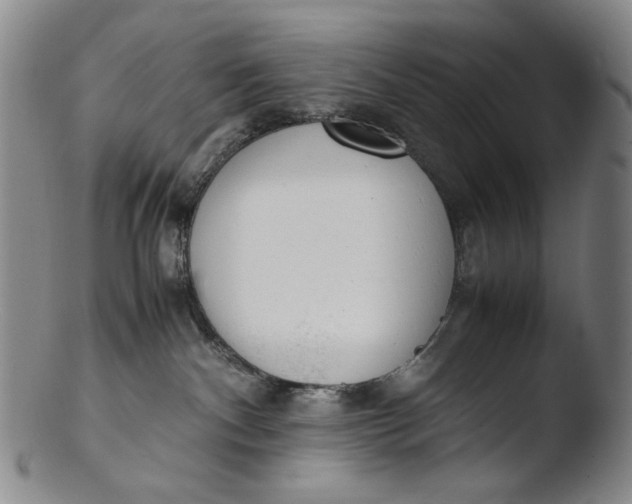 X0000103430140200809261740