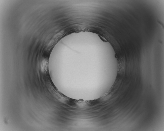 X0000103430142200809261740