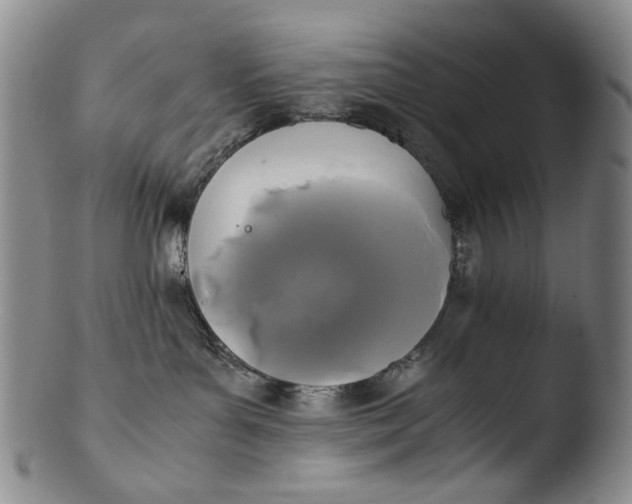 X0000103430143200809261739