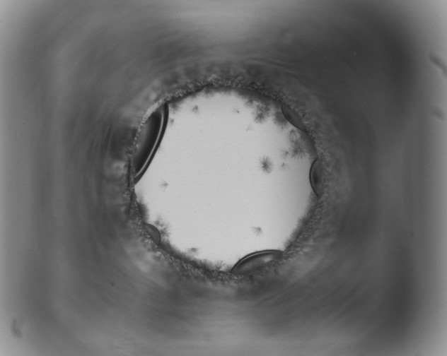 X0000103430144200809261739