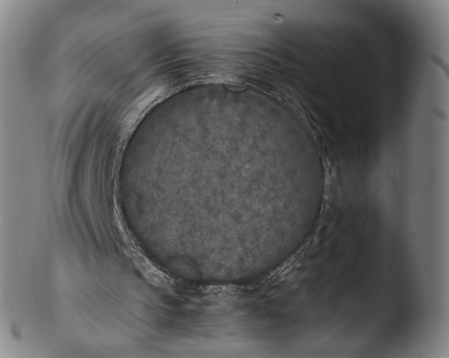 X0000103430145200809261739