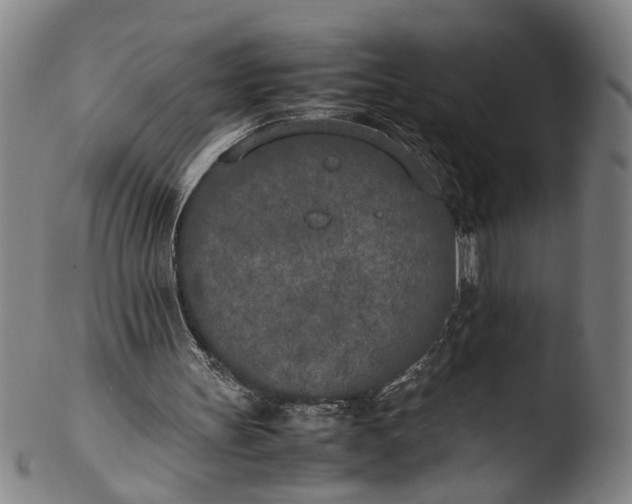 X0000103430147200809261739