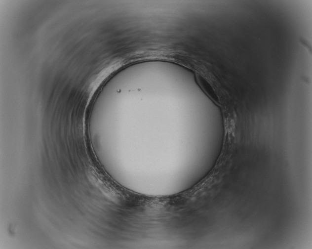 X0000103430148200809261739