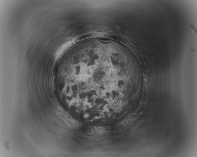 X0000103430149200809261739