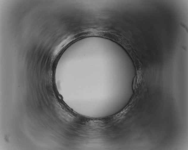 X0000103430150200809261739