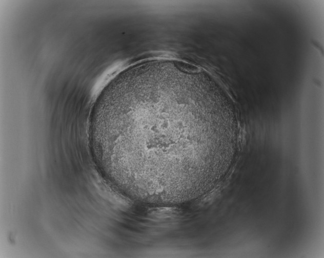 X0000103430151200809261739