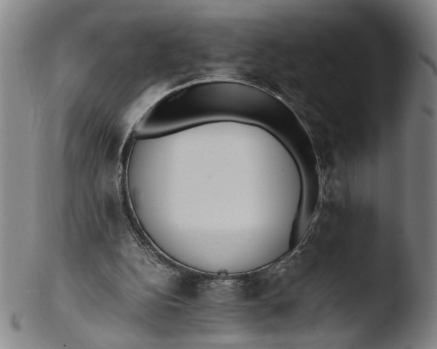 X0000103430152200809261739