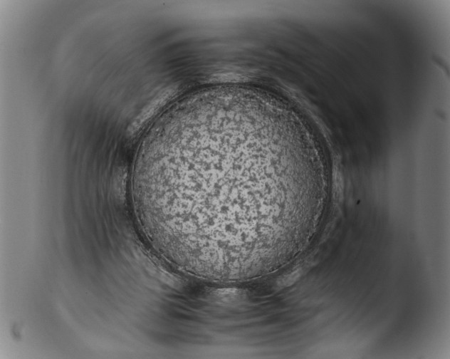 X0000103430153200809261739