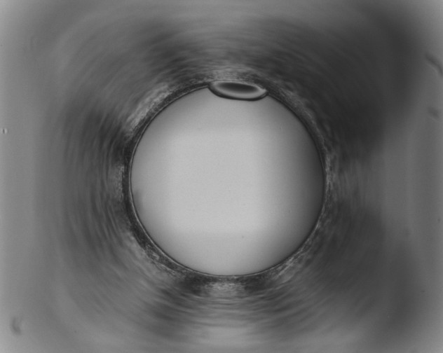 X0000103430154200809261739