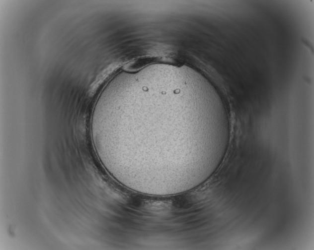 X0000103430155200809261739