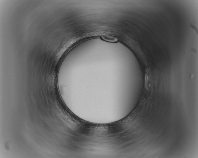 X0000103430156200809261739