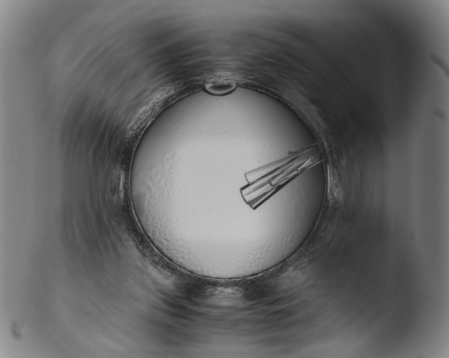 X0000103430157200809261739