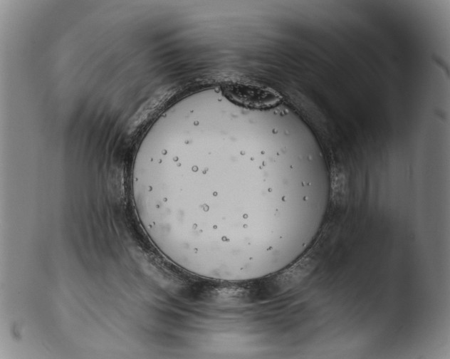 X0000103430158200809261739