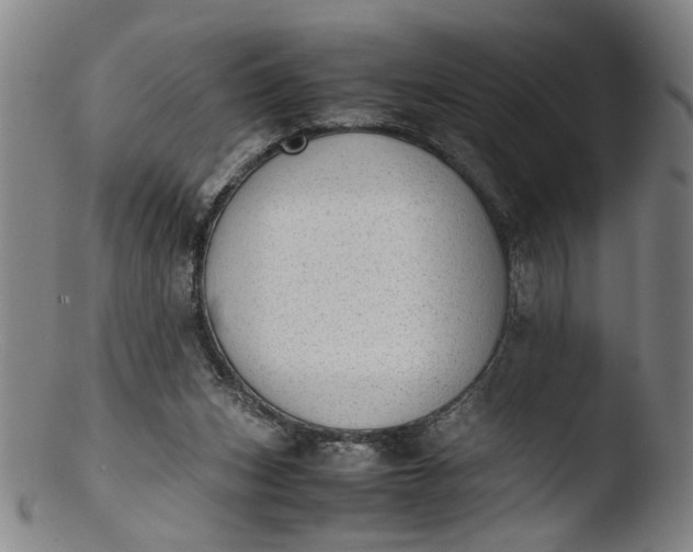 X0000103430159200809261739