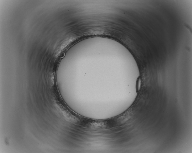 X0000103430160200809261739