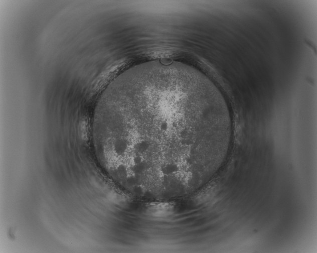 X0000103430161200809261739