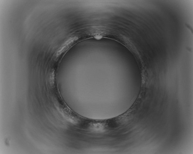 X0000103430163200809261739