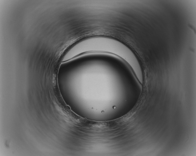 X0000103430164200809261739