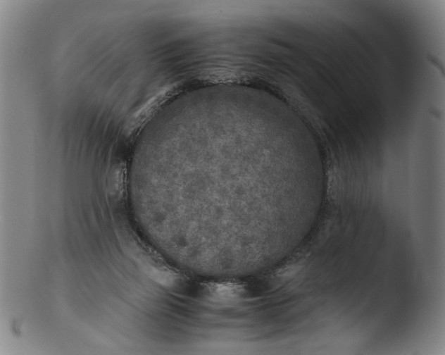 X0000103430165200809261739