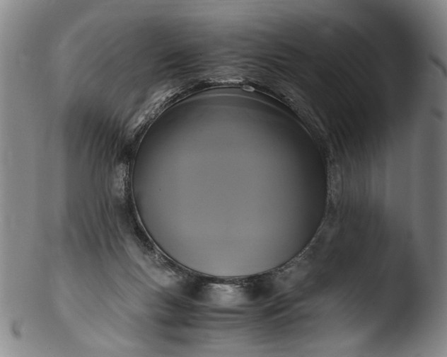 X0000103430167200809261739