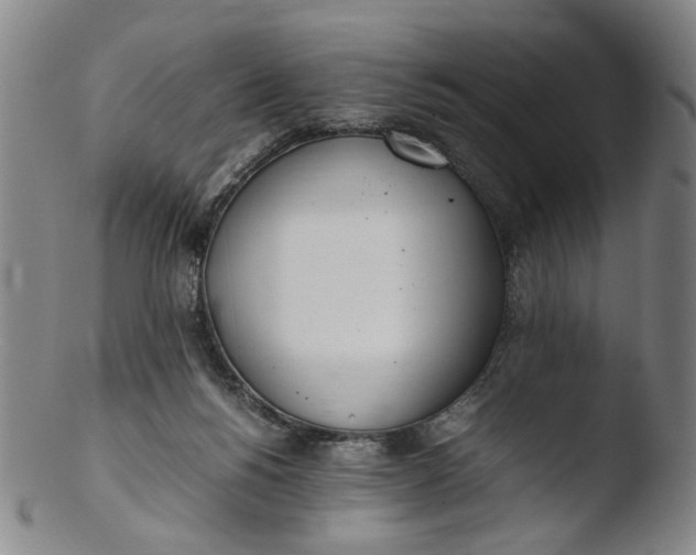 X0000103430168200809261739