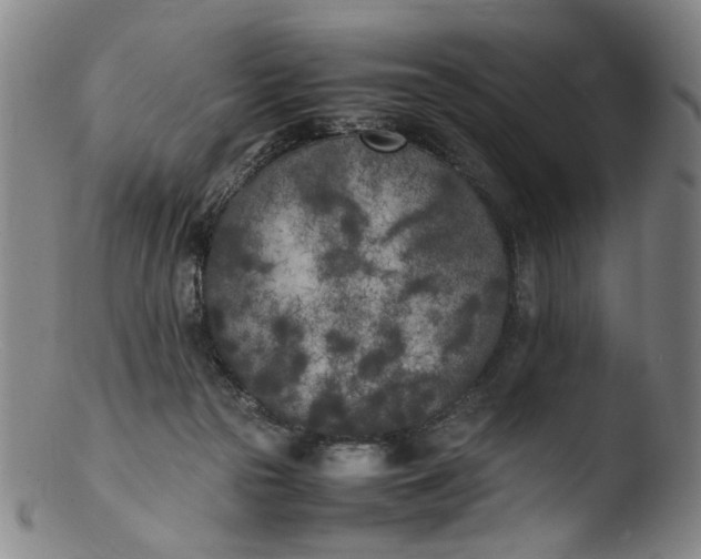 X0000103430169200809261739