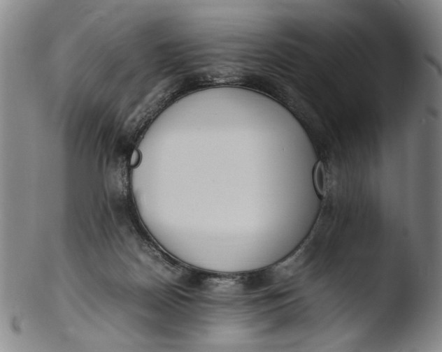 X0000103430170200809261739