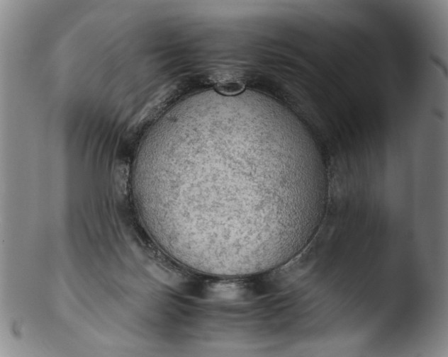 X0000103430171200809261739