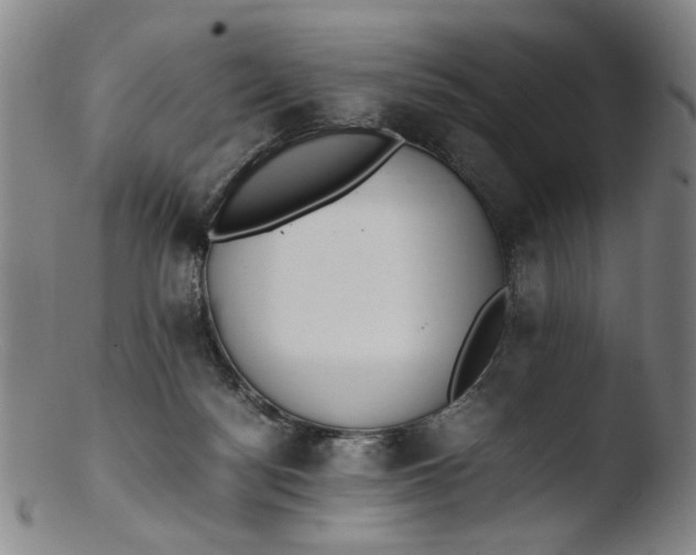 X0000103430172200809261739