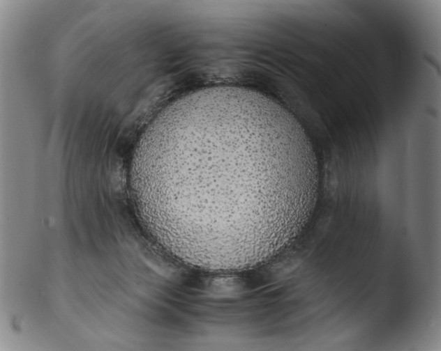 X0000103430173200809261739