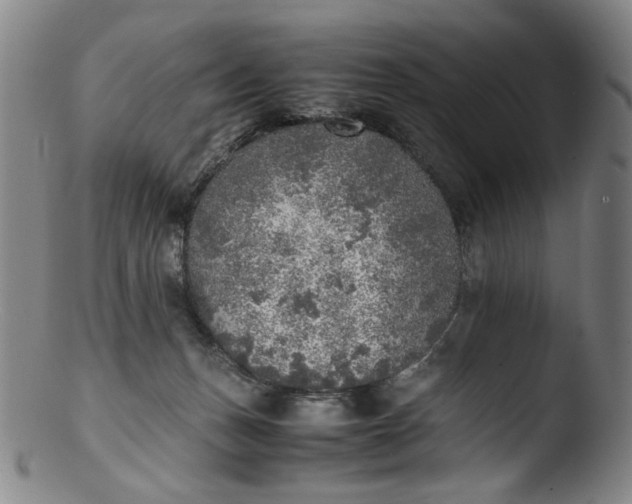 X0000103430175200809261739