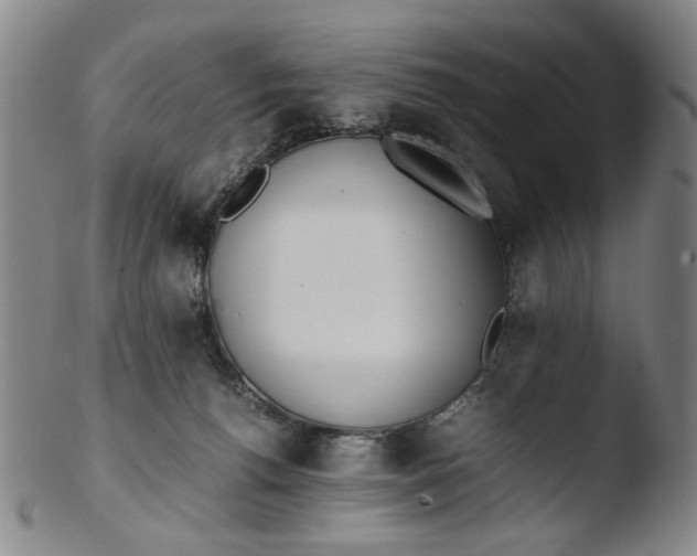 X0000103430176200809261739