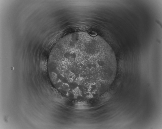 X0000103430177200809261739