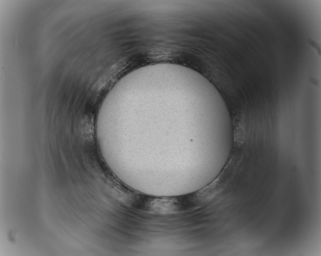 X0000103430179200809261739