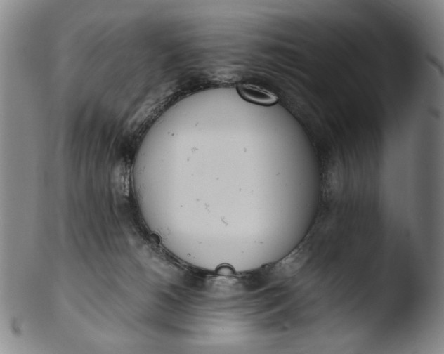 X0000103430180200809261739