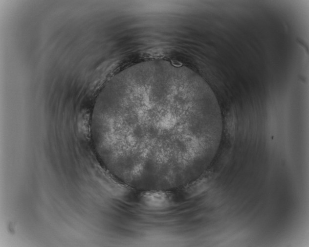 X0000103430181200809261739