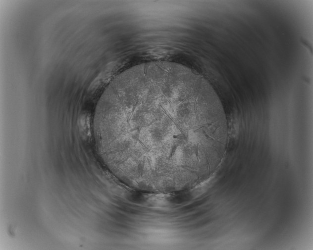 X0000103430182200809261739